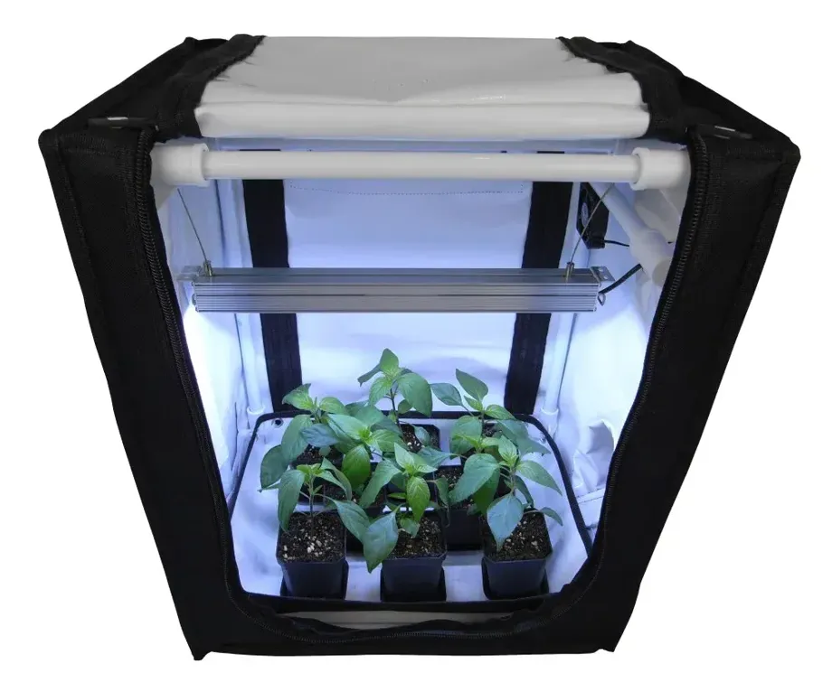 FYTO Anzuchtbox Base V40.2 Pro, 40 x 30 x 50 cm, mit LED, schwarz